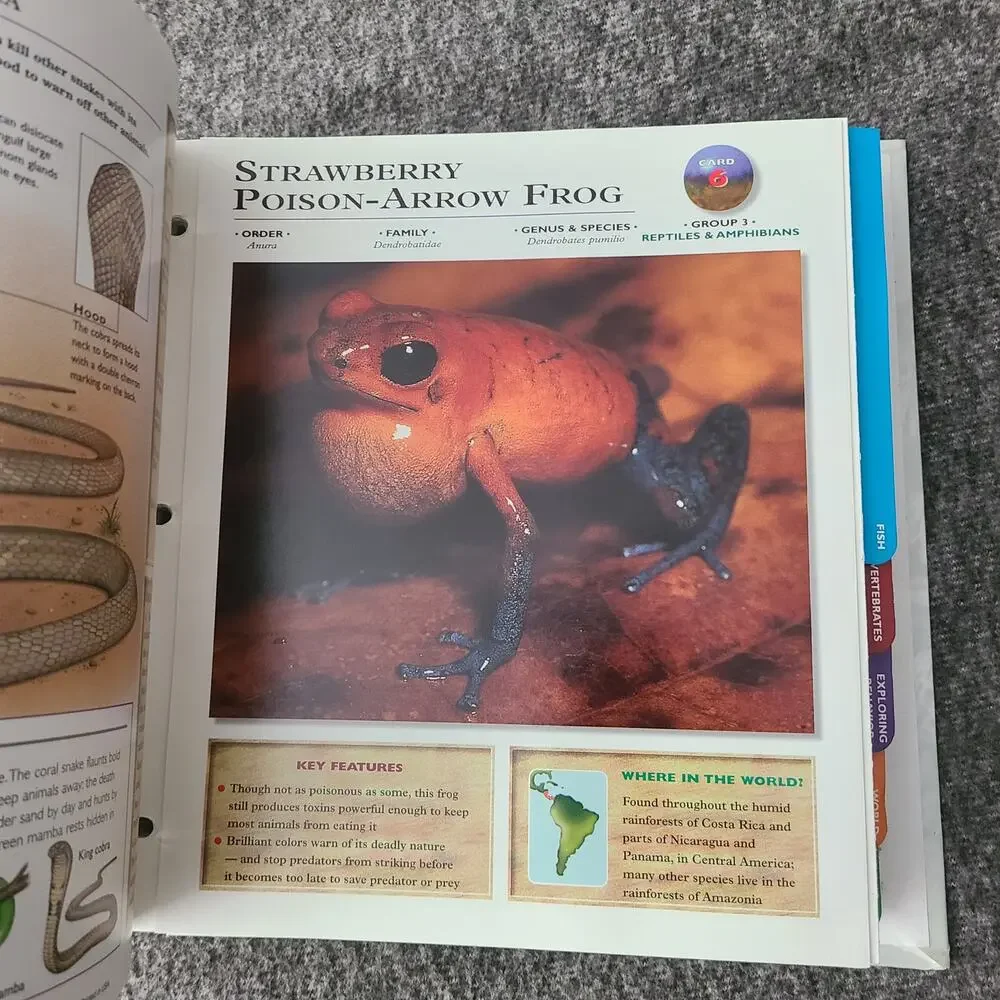 WILDLIFE EXPLORER Set 2 Binders w/Fact Cards Animal Birds Science Home School